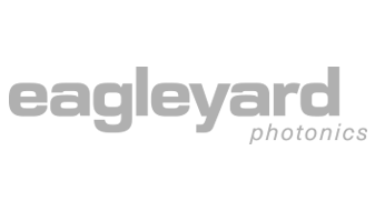 Logo eagleyard_grau
