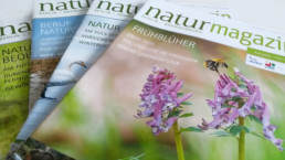 Magazin Natur+Text