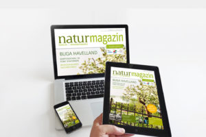 e-book für Natur+Text