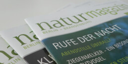 Neues Magazin-Layout