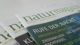 Neues Magazin-Layout